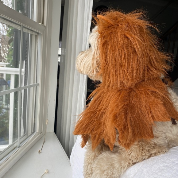 Lions Head Costume - Picture 12 of 13